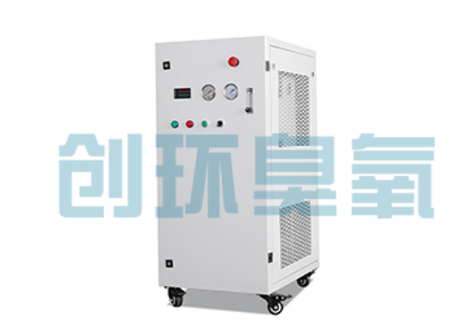 合肥石斑鱼养殖水质调控完整指南：臭氧发生器配置与操作步骤