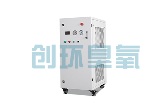 合肥比传统换水更高效？臭氧发生器在石斑鱼养殖中的水质净化原理解析