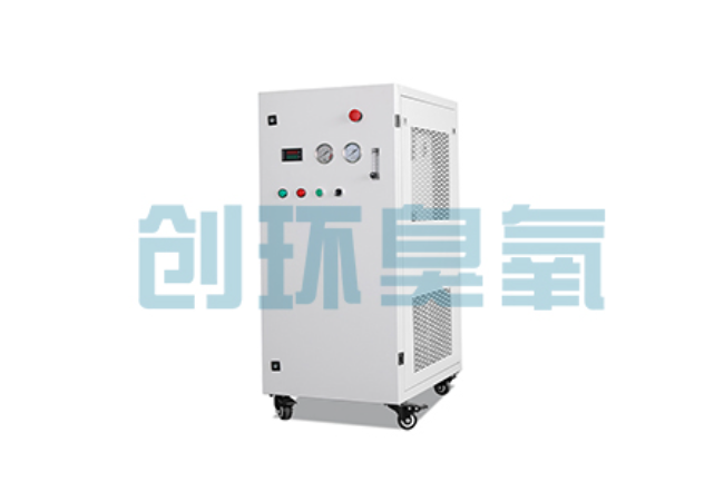 合肥比传统换水更高效？臭氧发生器在石斑鱼养殖中的水质净化原理解析